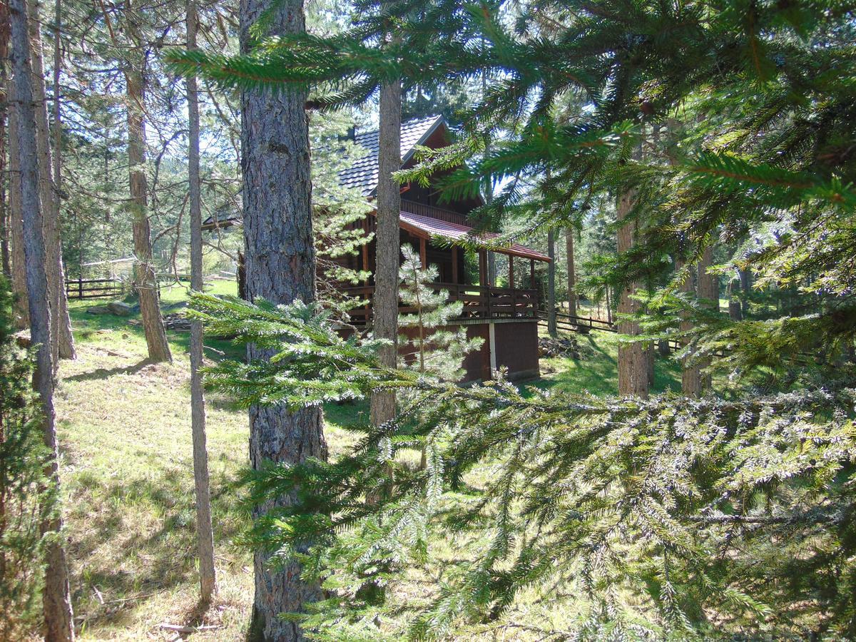 Tarski Dom Zaovine Εξωτερικό φωτογραφία