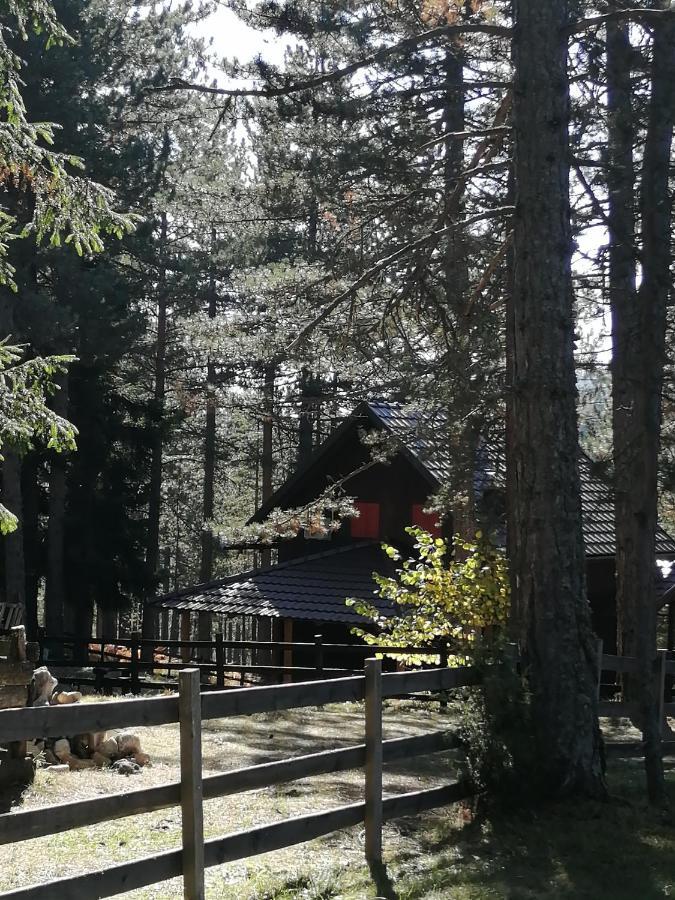 Tarski Dom Zaovine Εξωτερικό φωτογραφία